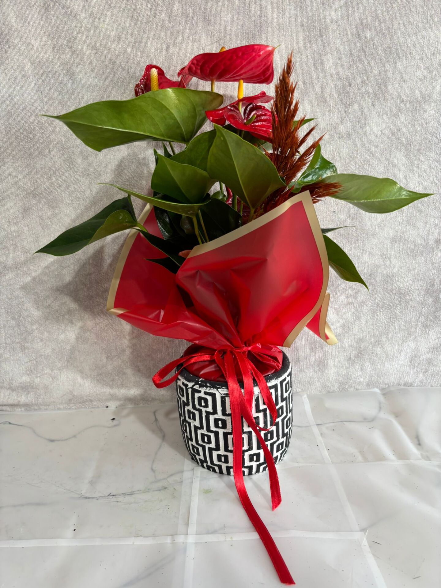Kare Desenli Saksıda Kırmızı Antoryum Çiçeği