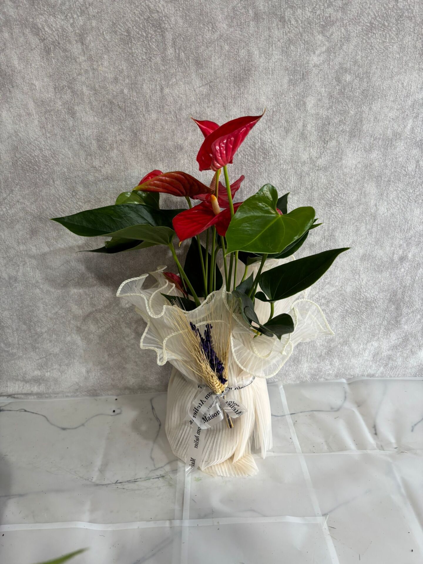 Kırmızı Antoryum Çiçeği Adana çiçek