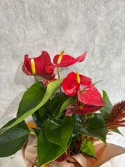 Sarı Buket Kağıtta Antoryum Çiçeği Adana çiçek