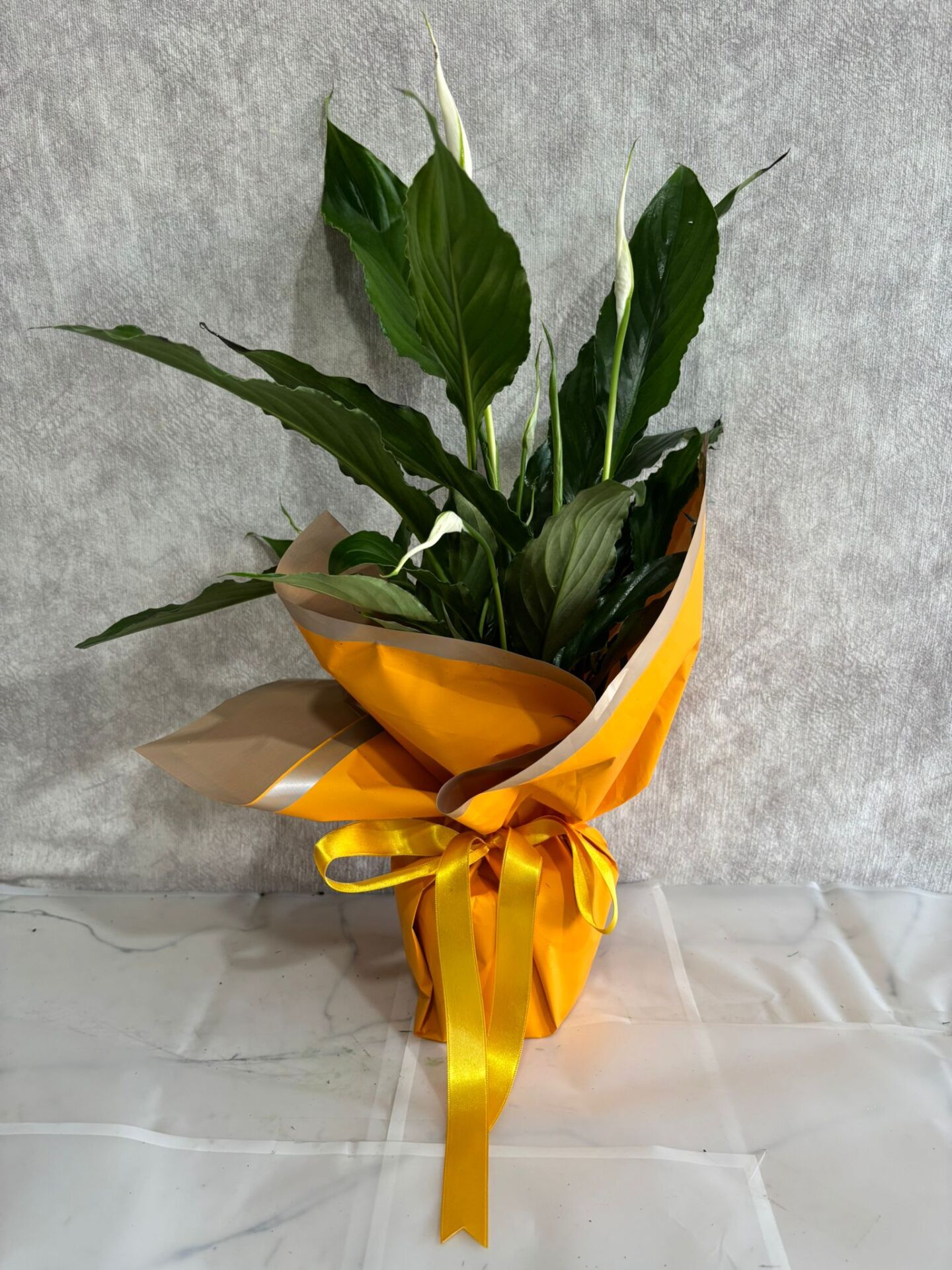 Sarı Renkli Buket Kağıtta Spatifilyum Barış Çiçeği Adana çiçek