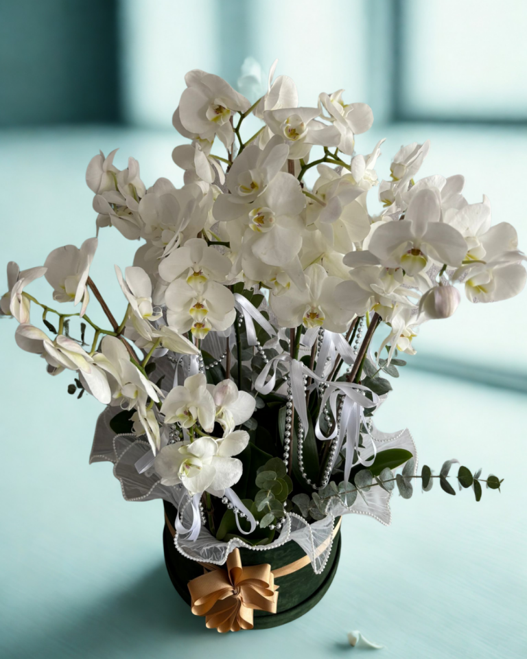 Yeşil Kadife Kutuda 10 Dal Beyaz Orkide Aranjmanı