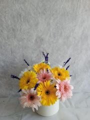 Beyaz Saksıda Renkli Gerbera ve Beyaz Papatya Aranjmanı