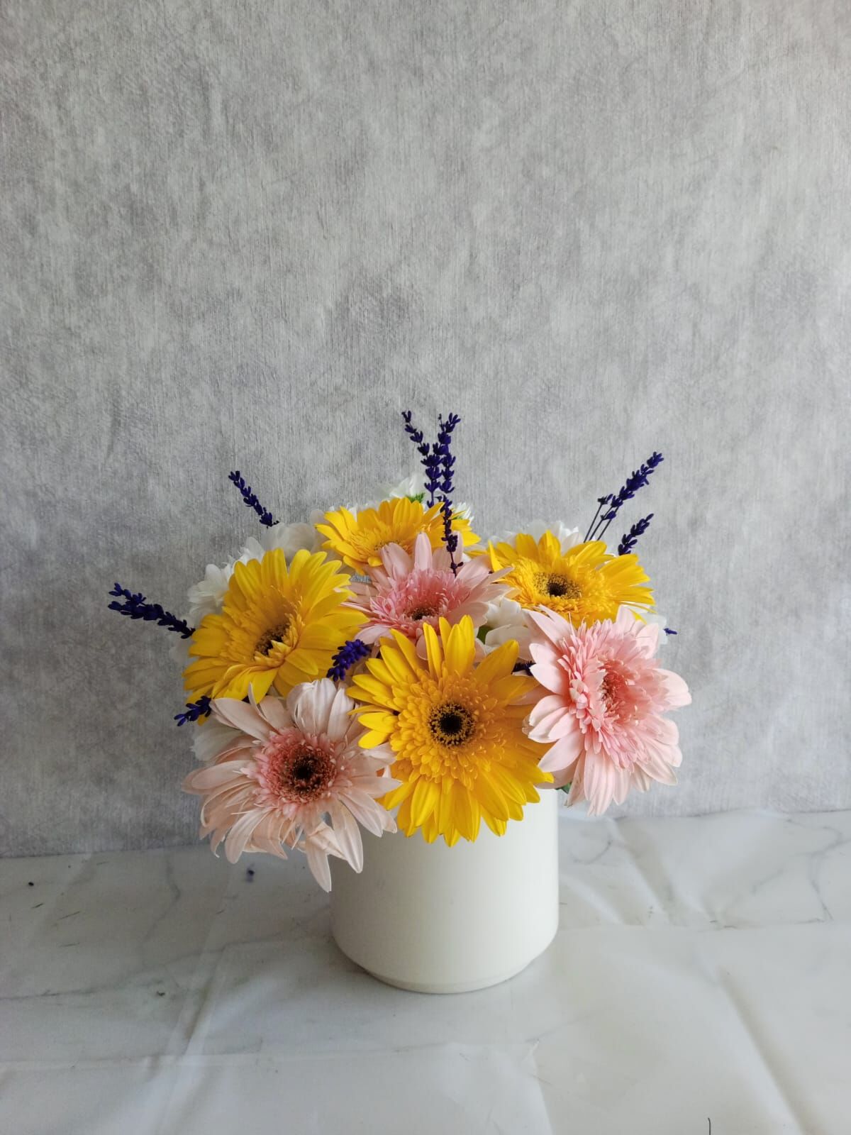 Beyaz Saksıda Renkli Gerbera ve Beyaz Papatya Aranjmanı