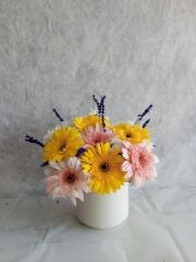 Beyaz Saksıda Renkli Gerbera ve Beyaz Papatya Aranjmanı