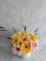 Beyaz Saksıda Renkli Gerbera ve Beyaz Papatya Aranjmanı