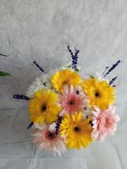 Beyaz Saksıda Renkli Gerbera ve Beyaz Papatya Aranjmanı