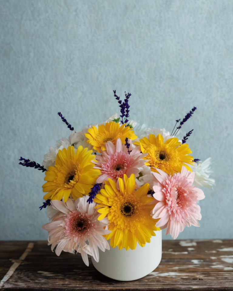 Beyaz Saksıda Renkli Gerbera ve Beyaz Papatya Aranjmanı