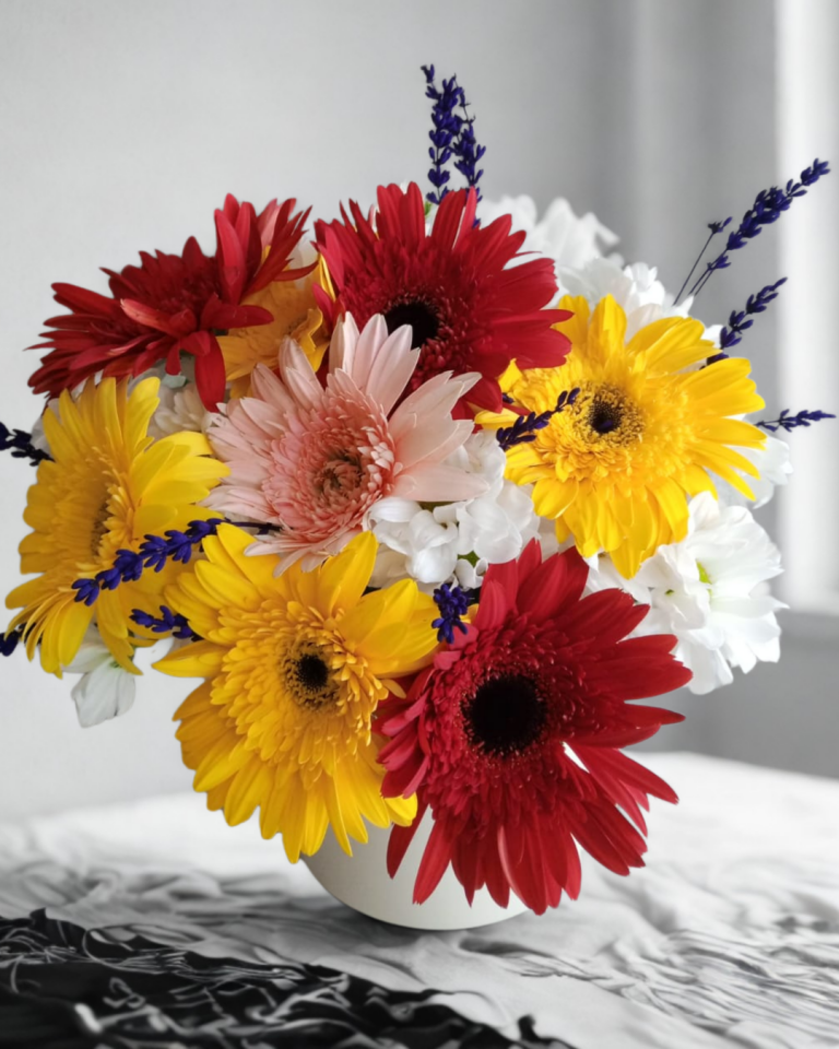 Seramik Saksıda Renkli Gerberalar Çiçeği Adana çiçek