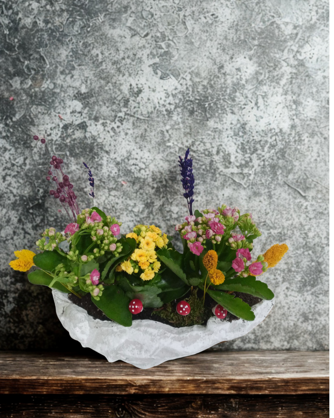 Kayık Saksıda Renkli Kalaonche Çiçeği Adana çiçek