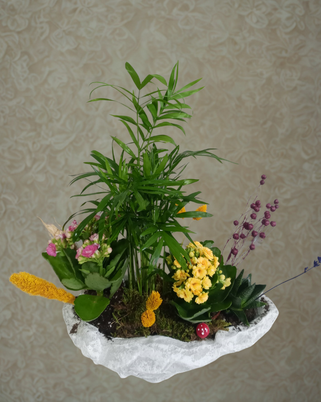 Kayık Saksıda Renkli Kalaoncheler ve Chamadora Bitkisi Çiçeği