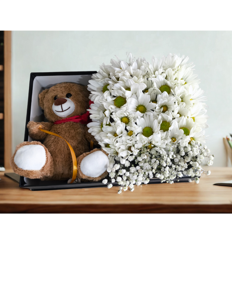 Dikdörtgen Siyah Kutuda Beyaz Papatya ve Ayıcık Adana çiçek