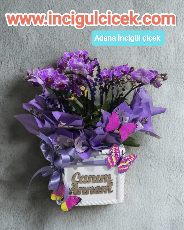 10 Dal Mini Orkide Çiçeği Canım Annem Yazılı Saksıda