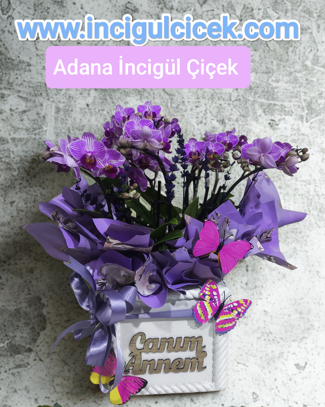 10 Dal Mini Orkide Çiçeği Canım Annem Yazılı Saksıda Adana çiçek