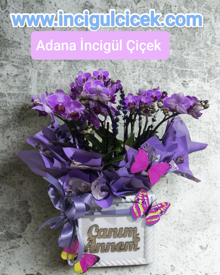 10 Dal Mini Orkide Çiçeği Canım Annem Yazılı Saksıda