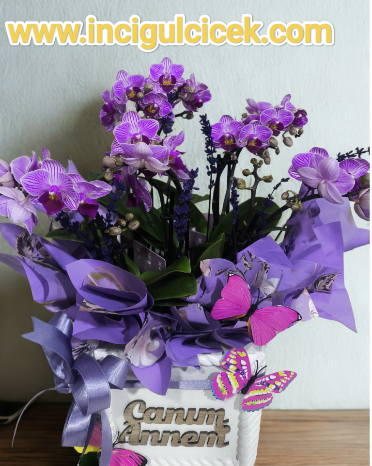 10 Dal Mini Orkide Çiçeği Canım Annem Yazılı Saksıda