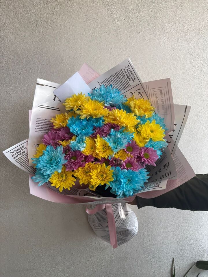 Karışık Renkli Papatyalar