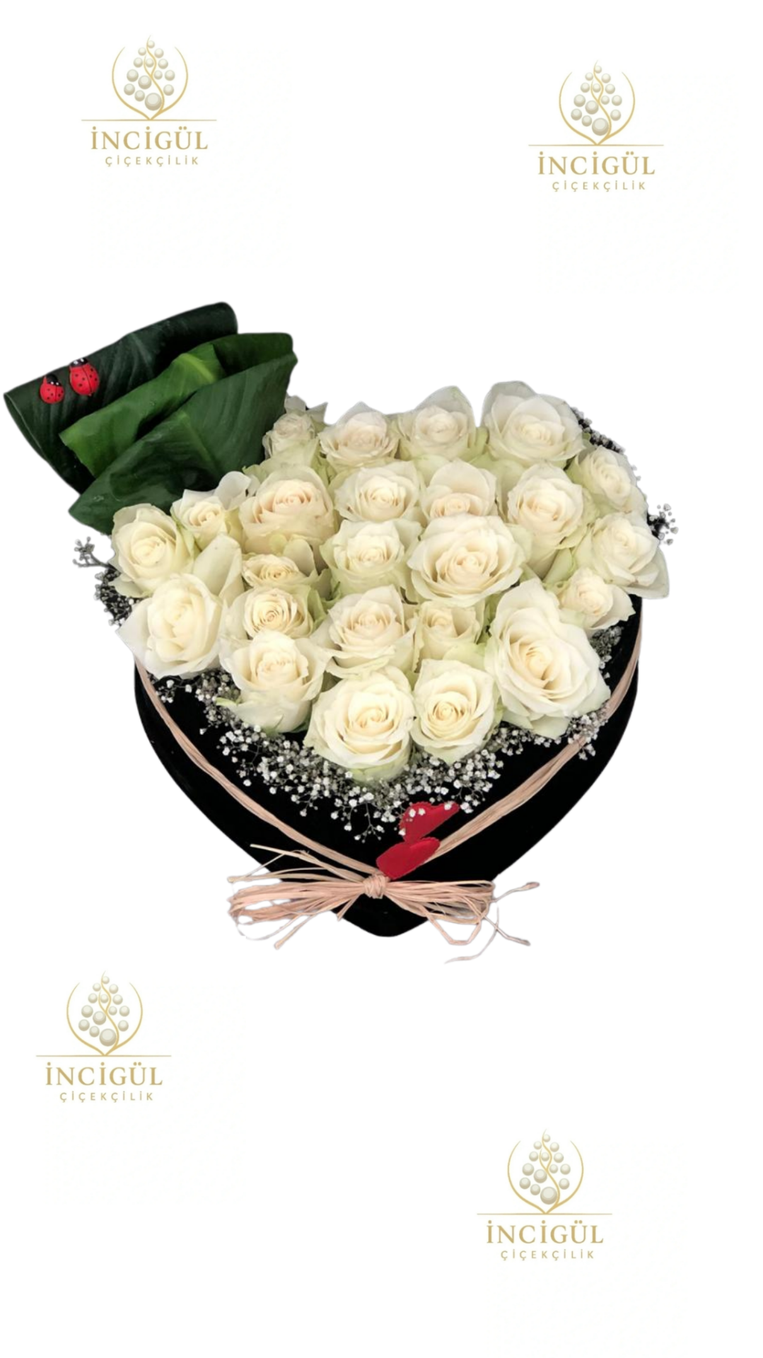 Kalpli Kutuda Beyaz Gül Perisi Adana çiçek