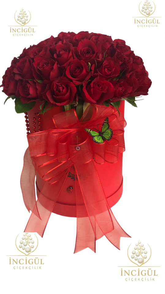 Kırmızı Renkli Kutuda Kırmızı Gül Gülümsemesi