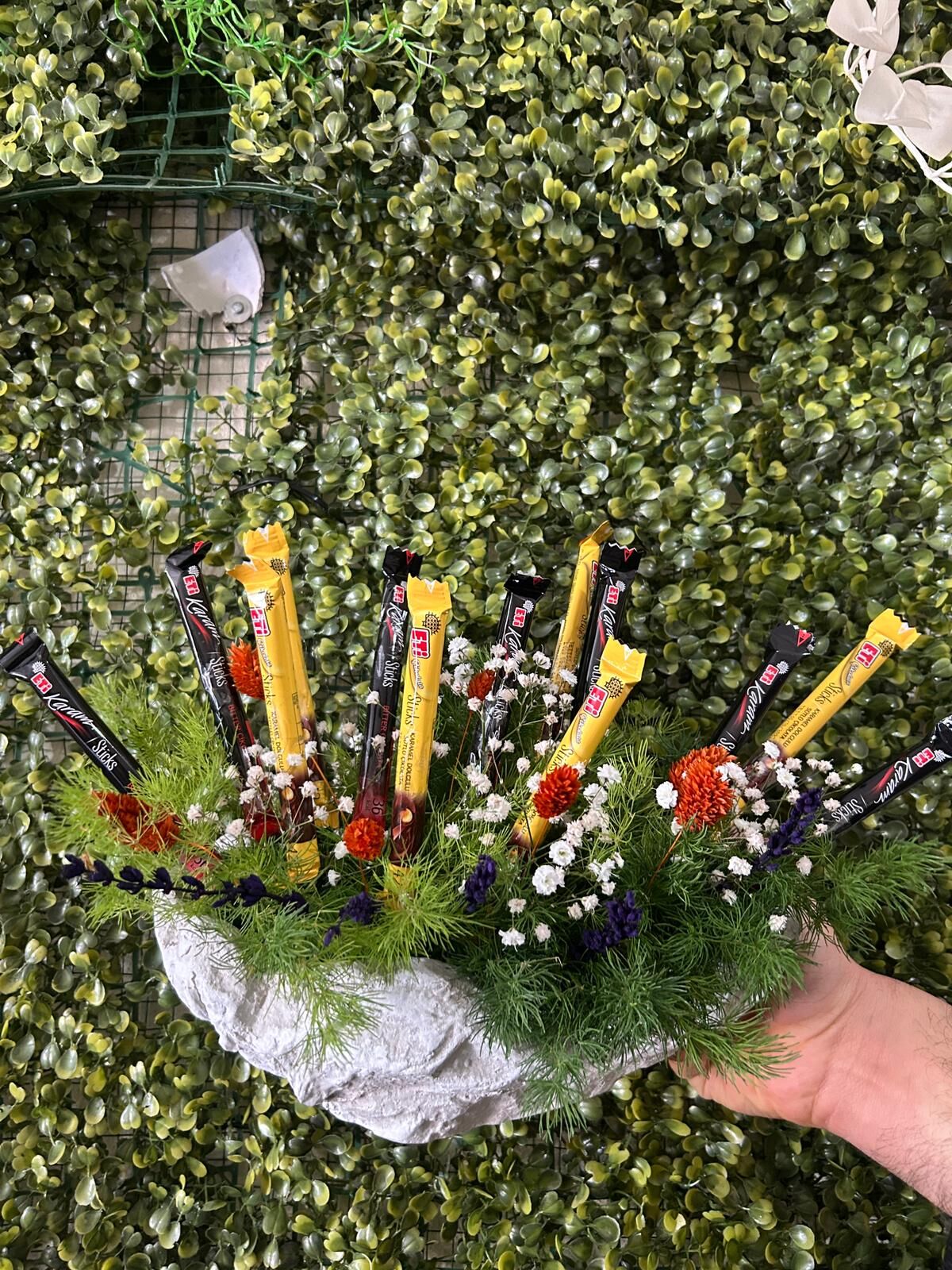 Kayık saksıda çikolata bahçesi