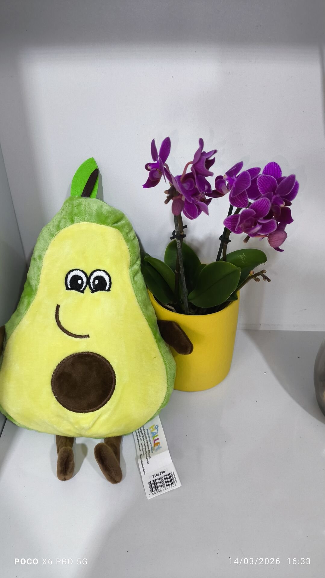 Sarı Çiçek Saksıda Çiftli Mini Orkide ve Avakado yastık