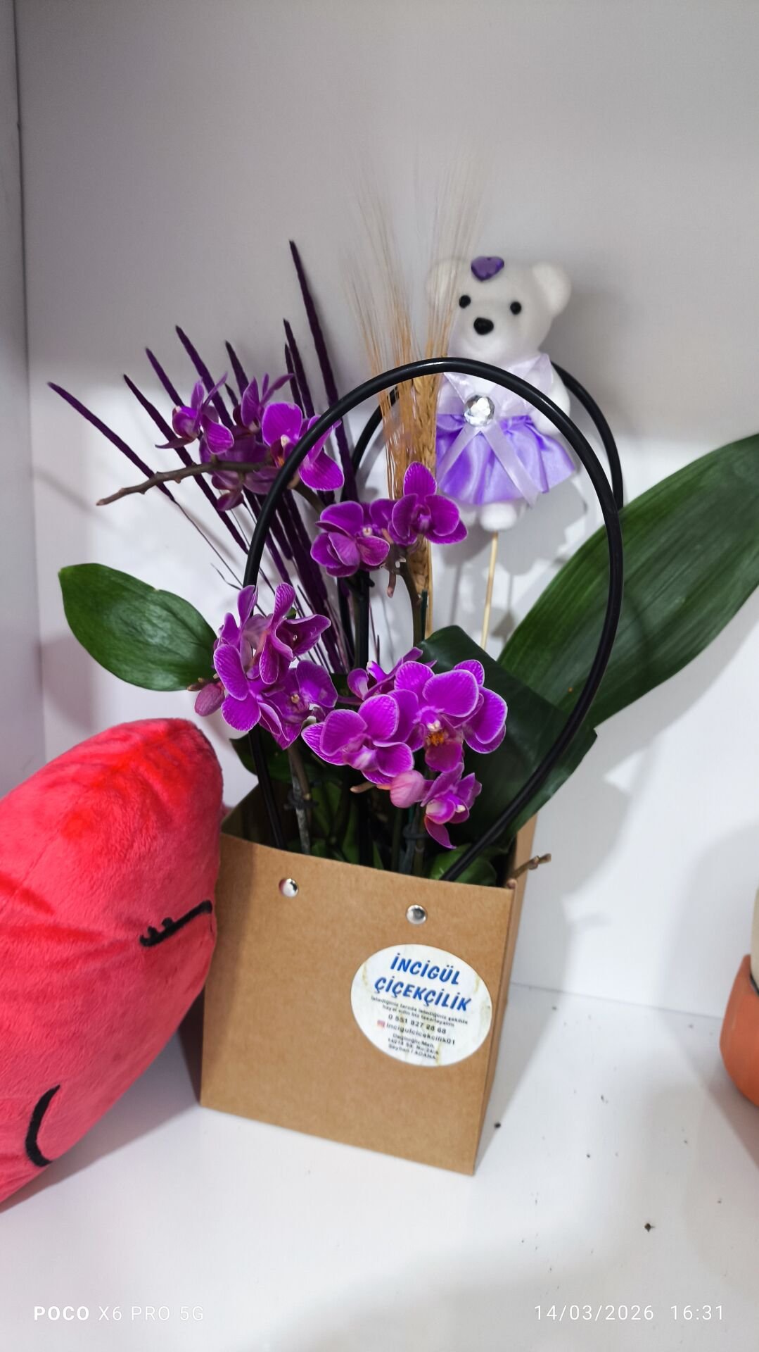 Kalpli yastık ve 4 Dal Mini Orkide