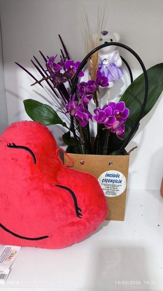 Kalpli yastık ve 4 Dal Mini Orkide