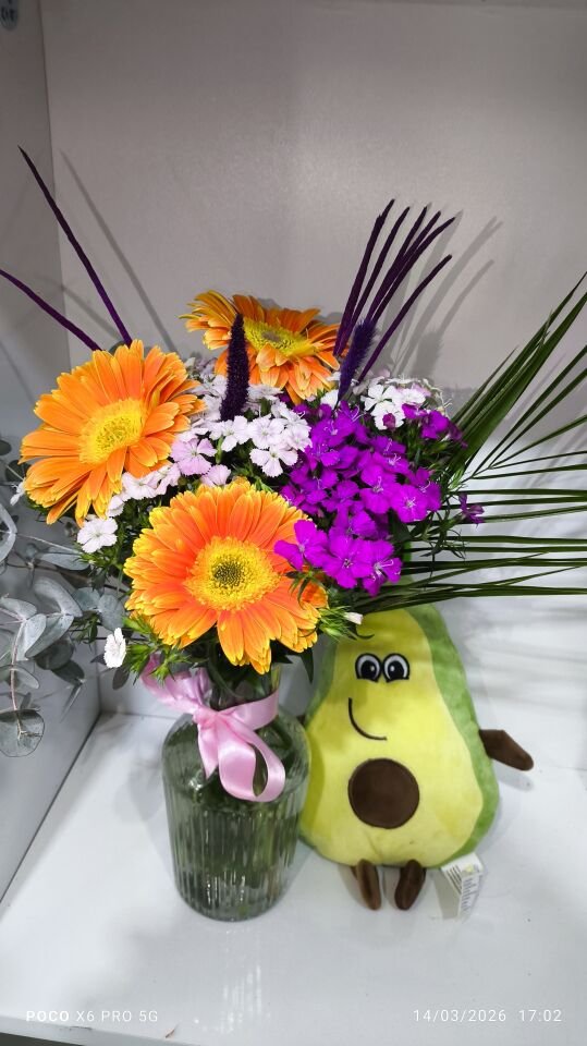 Avakado peluş ve Çizgili Cam Vazoda Turuncu Gerbera Hüsnü Yusuf aranjmanı