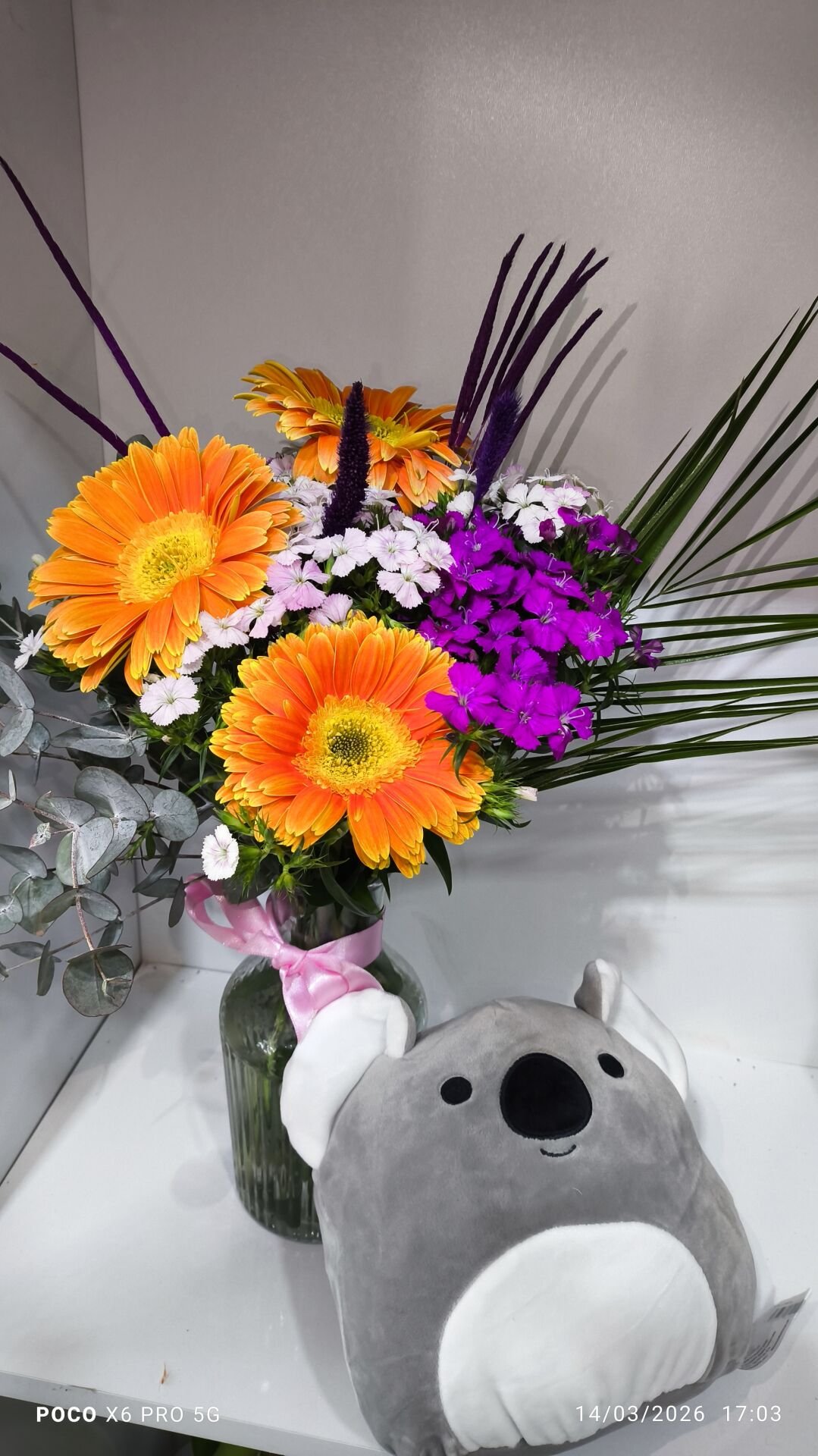 Koala yastık ve Çizgili Cam Vazoda Turuncu Gerbera Hüsnü Yusuf aranjmanı