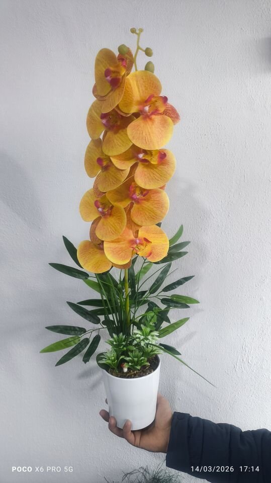 Yapay Tekli Orkide